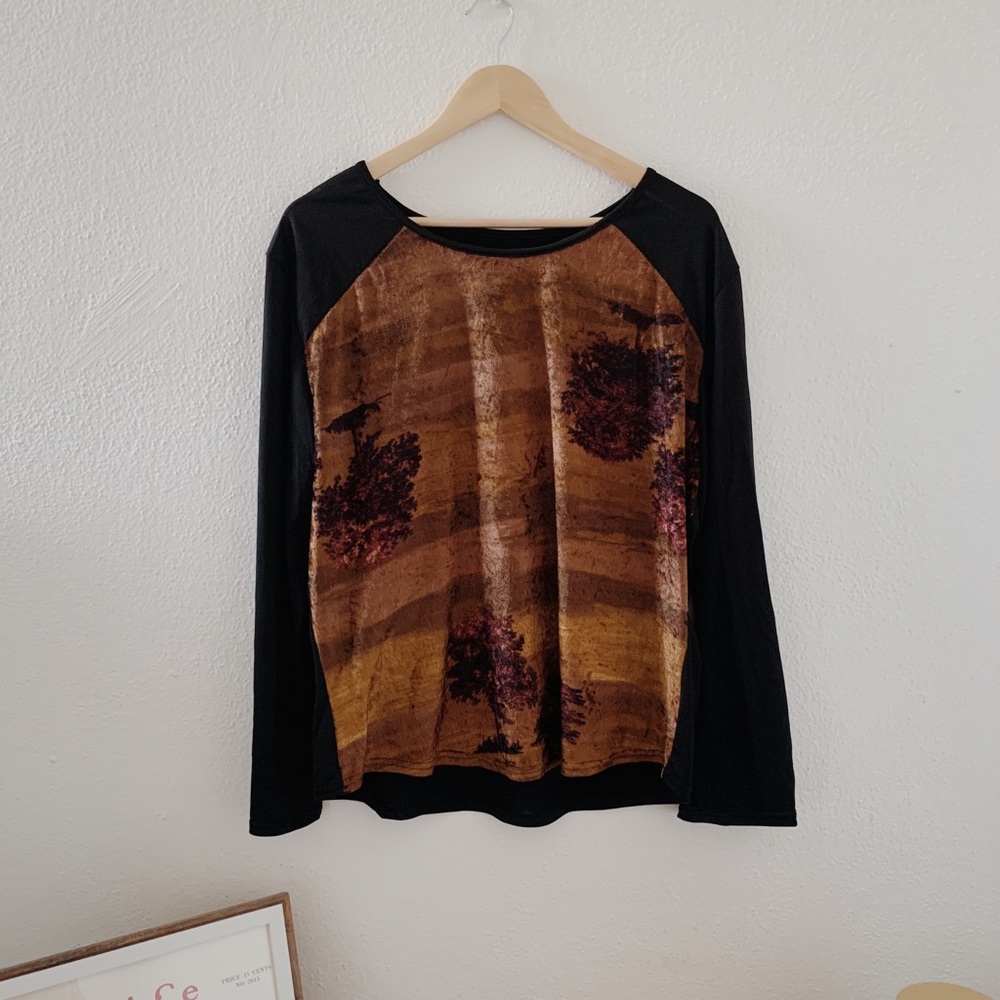 ✨VINTAGE✨ // Velvet Long Sleeve